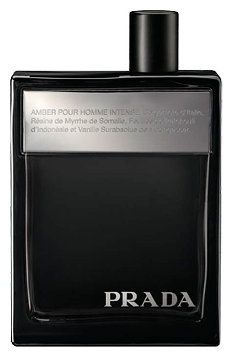 prada amber pour homme men& 39|amber pour homme intense.